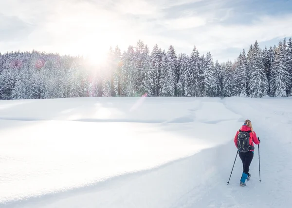 Wandertipps: Hier finden Sie die schönsten Touren! Person wandert mit Stöcken auf verschneitem Weg im Winterwald bei Sonnenschein