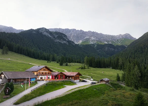Ihre Almhütte in Tirol Berggasthof Hammermoos in grüner Alm mit Bergen und Wald im Hintergrund