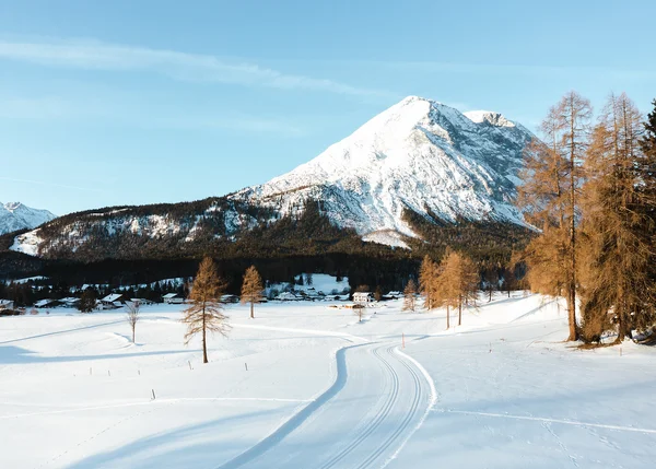 Urlaub auf Skiern: Ihr Langlaufhotel in Tirol Schneebedeckter Weg in den Bergen mit kahlen Bäumen und blauem Himmel