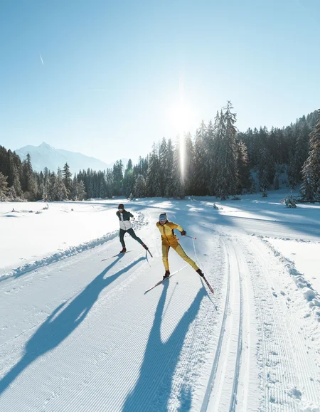 Hier fühlen sich alle wohl: Zimmer buchen Zwei Langläufer bei sonnigem Wintertag auf präparierter Spur im verschneiten Wald