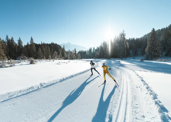 Wandertipps: Hier finden Sie die schönsten Touren! Zwei Langläufer bei sonnigem Wintertag auf präparierter Spur im verschneiten Wald