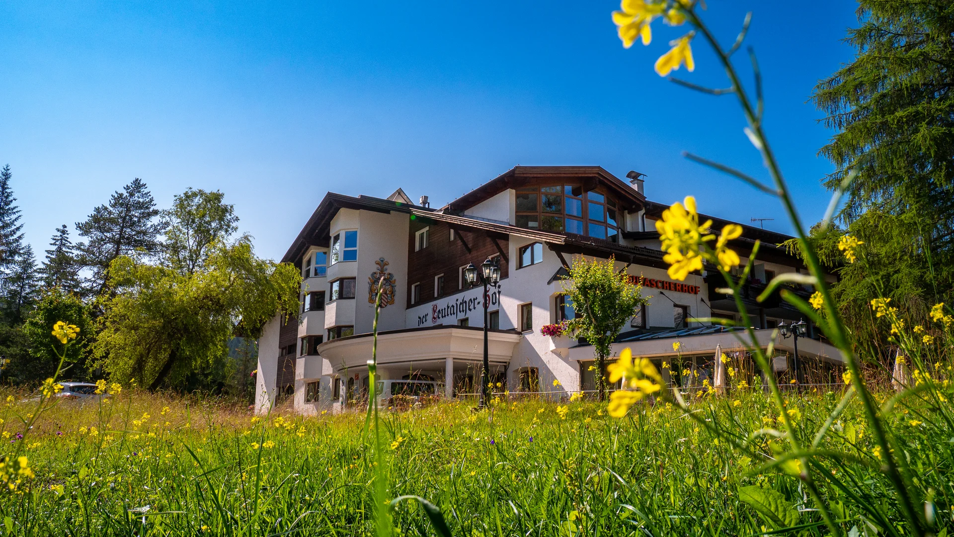 Biohotel Leutascherhof – Ihr Kraftort in den Tiroler Alpen Hotelgebäude hinter blühender Wiese mit gelben Blumen bei sonnigem Himmel